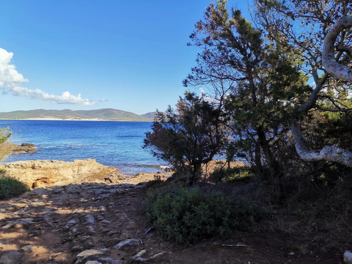 Ziu Angelinu Ad Un Passo Dal Mare Villa Porto Pino Exteriör bild