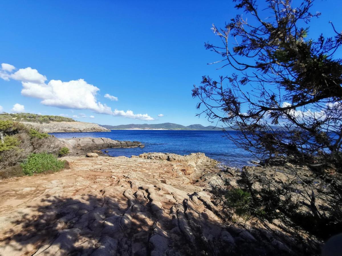 Ziu Angelinu Ad Un Passo Dal Mare Villa Porto Pino Exteriör bild