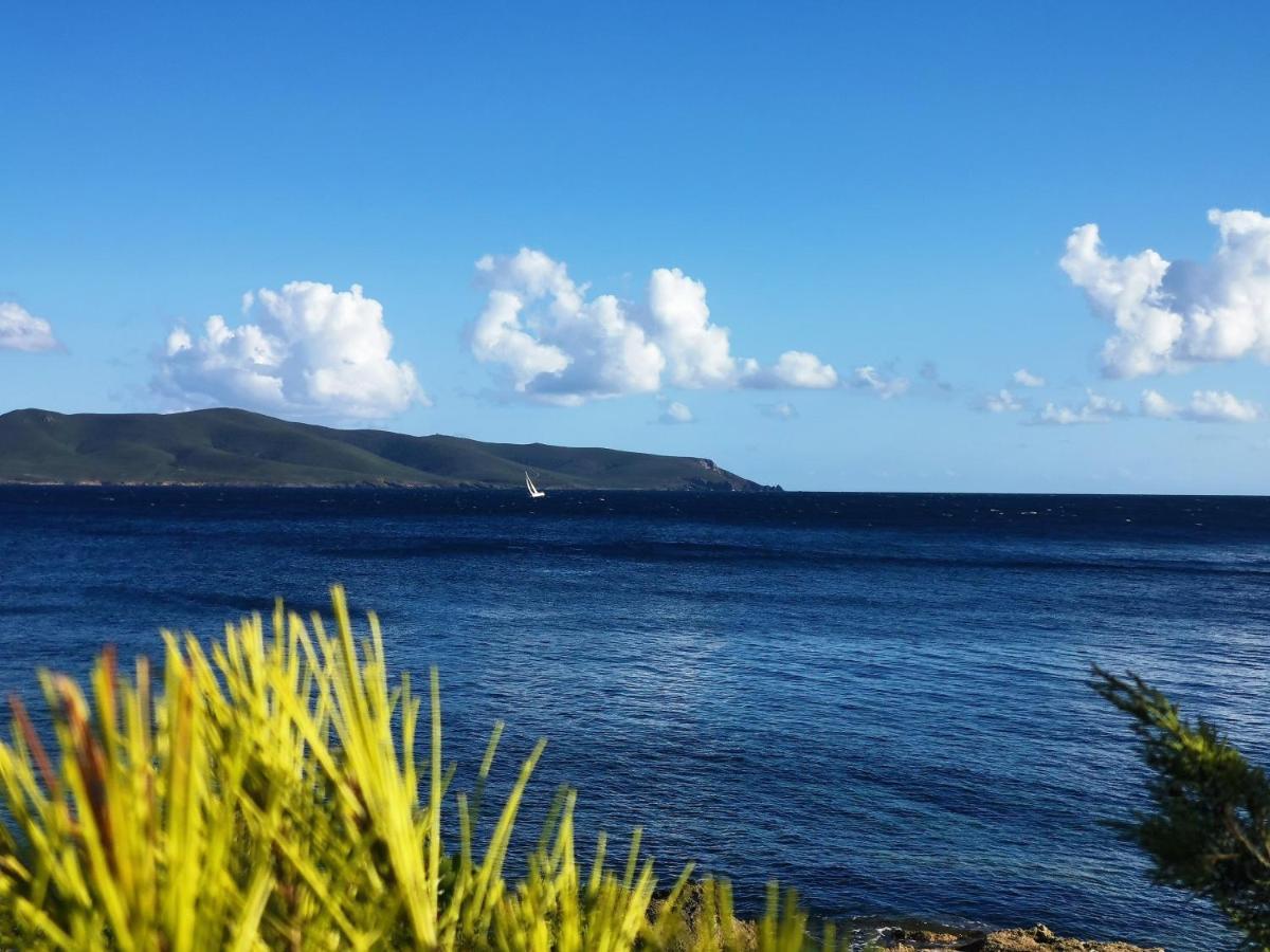 Ziu Angelinu Ad Un Passo Dal Mare Villa Porto Pino Exteriör bild