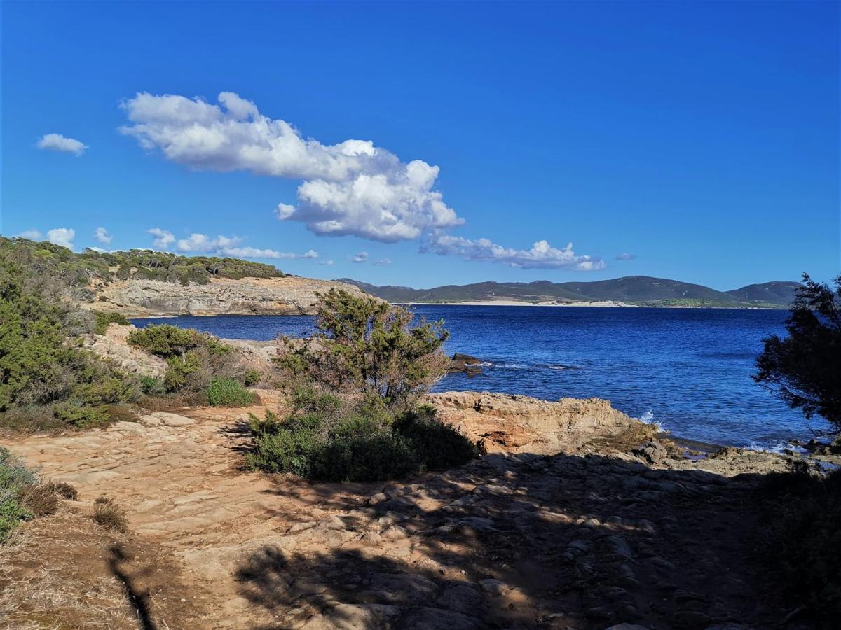 Ziu Angelinu Ad Un Passo Dal Mare Villa Porto Pino Exteriör bild