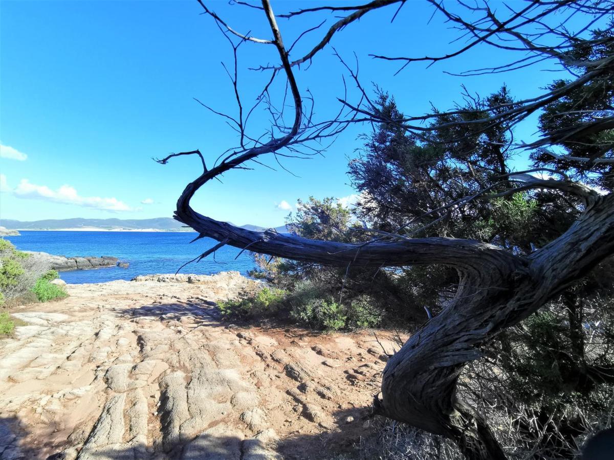 Ziu Angelinu Ad Un Passo Dal Mare Villa Porto Pino Exteriör bild